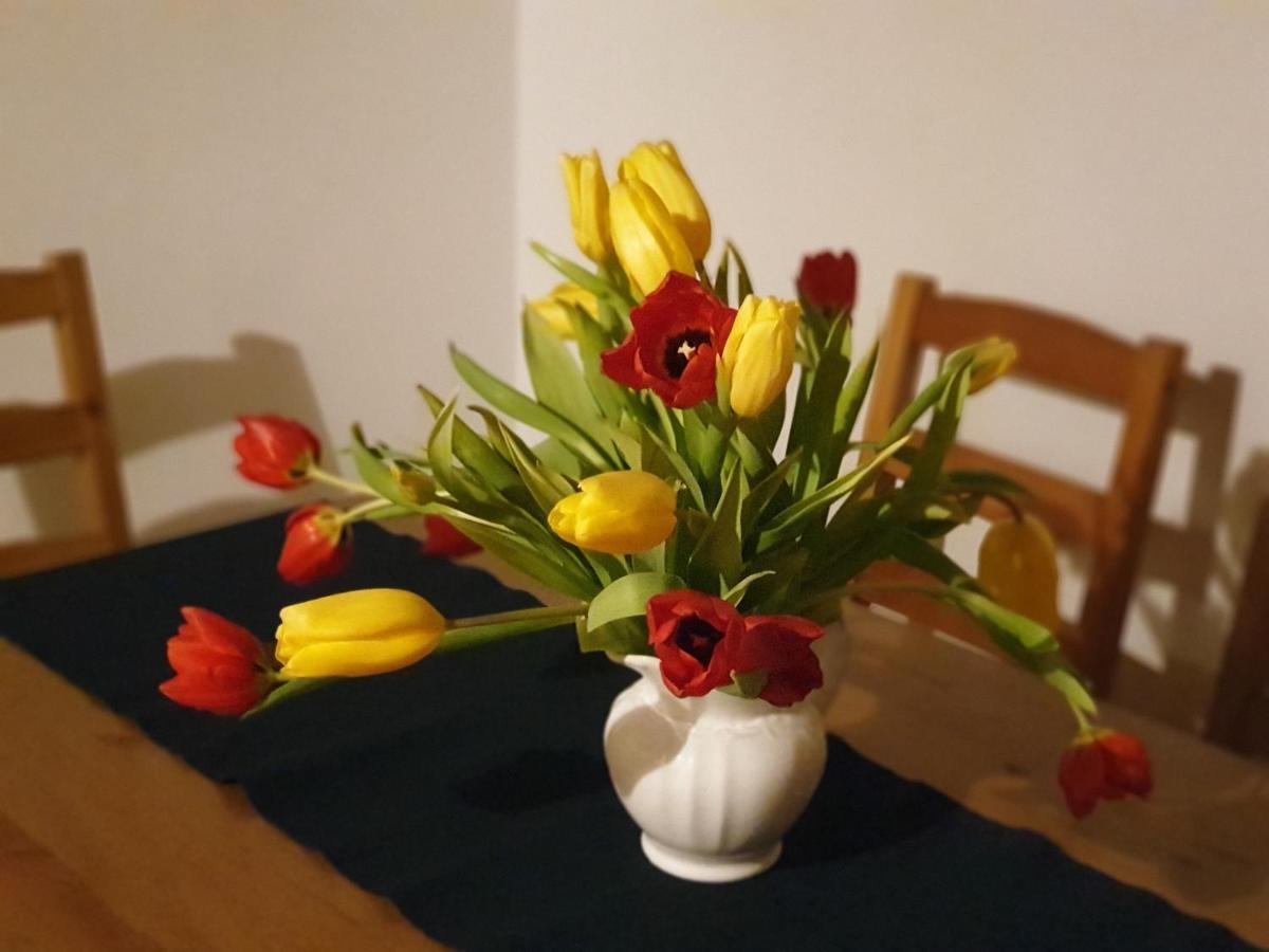 Appartement Emilia Халстат Екстериор снимка