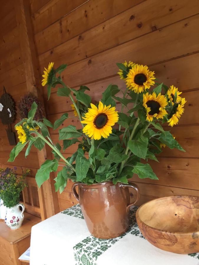 Appartement Emilia Халстат Екстериор снимка