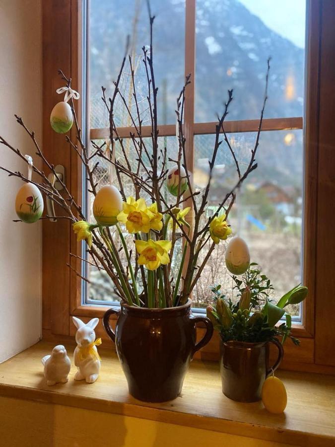 Appartement Emilia Халстат Екстериор снимка